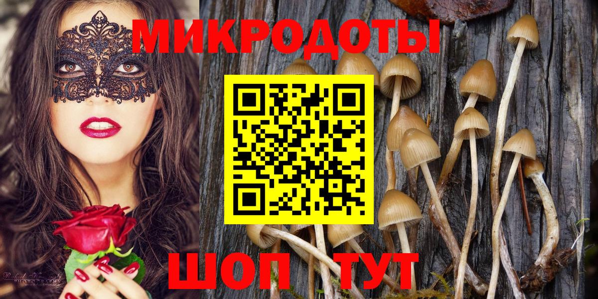Псилоцибиновые грибы мицелий  Вход с VPN  продажа наркотиков  Кушва 