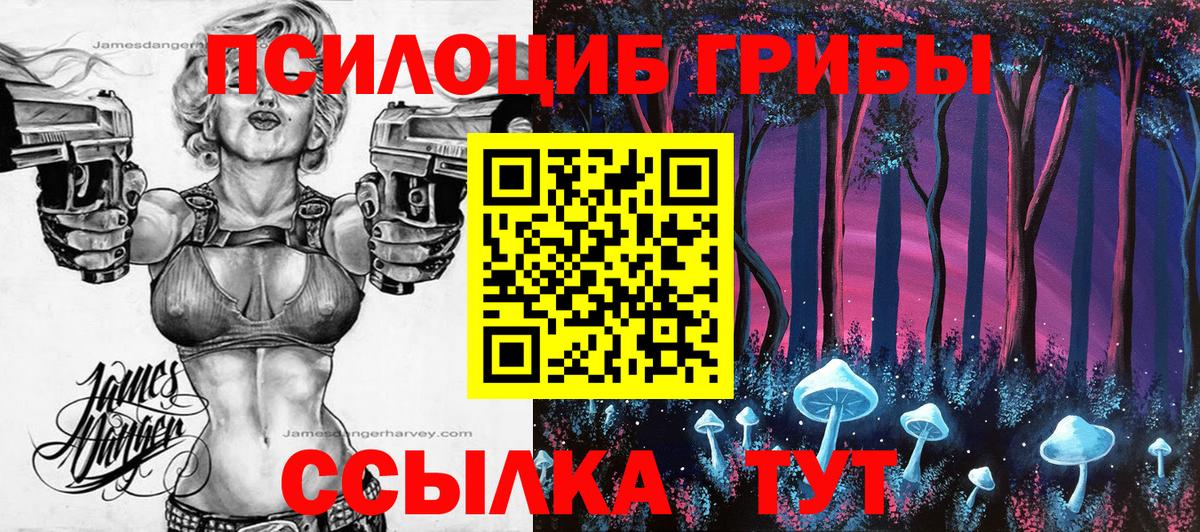Галлюциногенные грибы мицелий Кушва